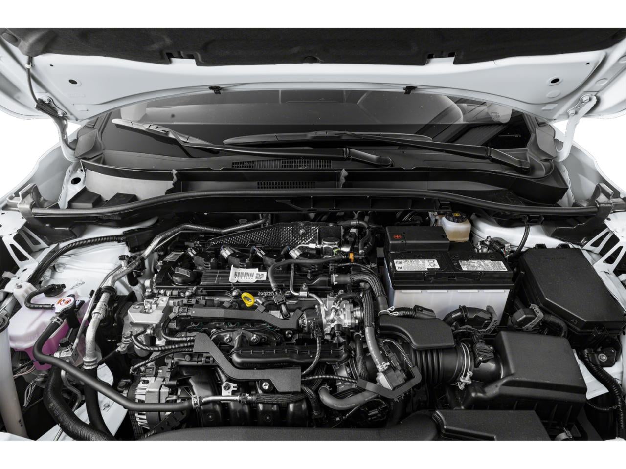 2023 Toyota Corolla Cross XLE 2WD (Natl)